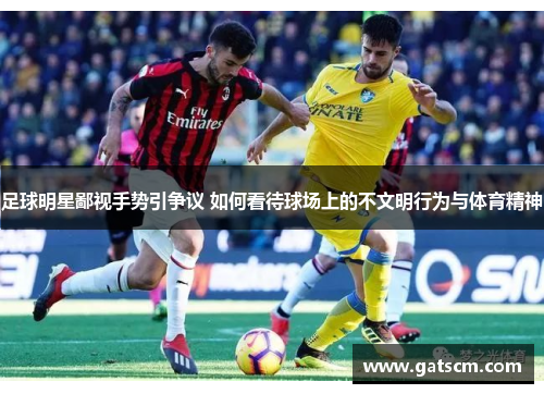 足球明星鄙视手势引争议 如何看待球场上的不文明行为与体育精神