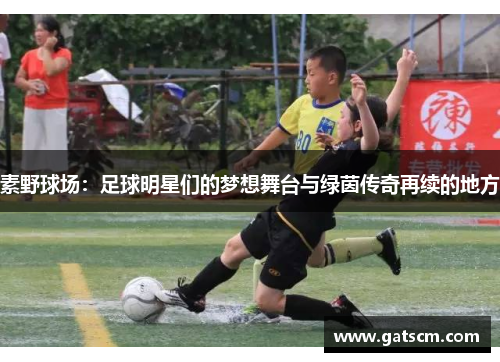 素野球场：足球明星们的梦想舞台与绿茵传奇再续的地方