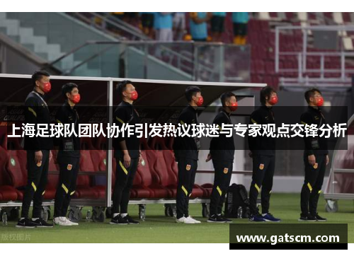 上海足球队团队协作引发热议球迷与专家观点交锋分析
