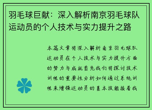 羽毛球巨献：深入解析南京羽毛球队运动员的个人技术与实力提升之路