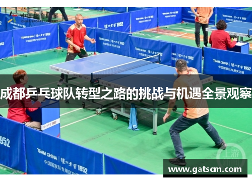 成都乒乓球队转型之路的挑战与机遇全景观察