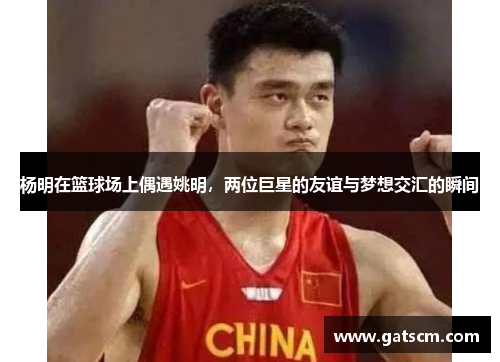 杨明在篮球场上偶遇姚明，两位巨星的友谊与梦想交汇的瞬间