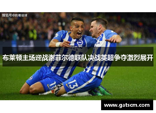 布莱顿主场迎战谢菲尔德联队决战英超争夺激烈展开